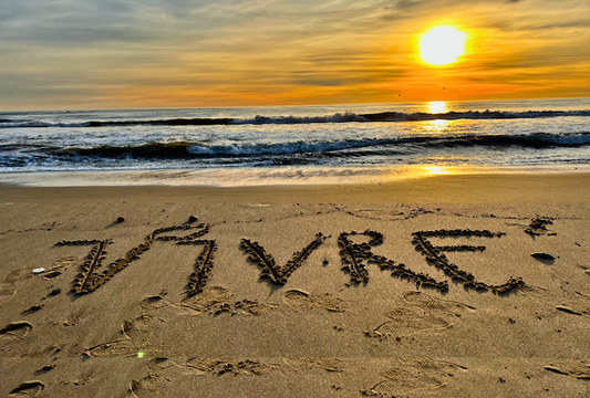 Making a Difference with VIVRE' a Sustainable Fashion Brand